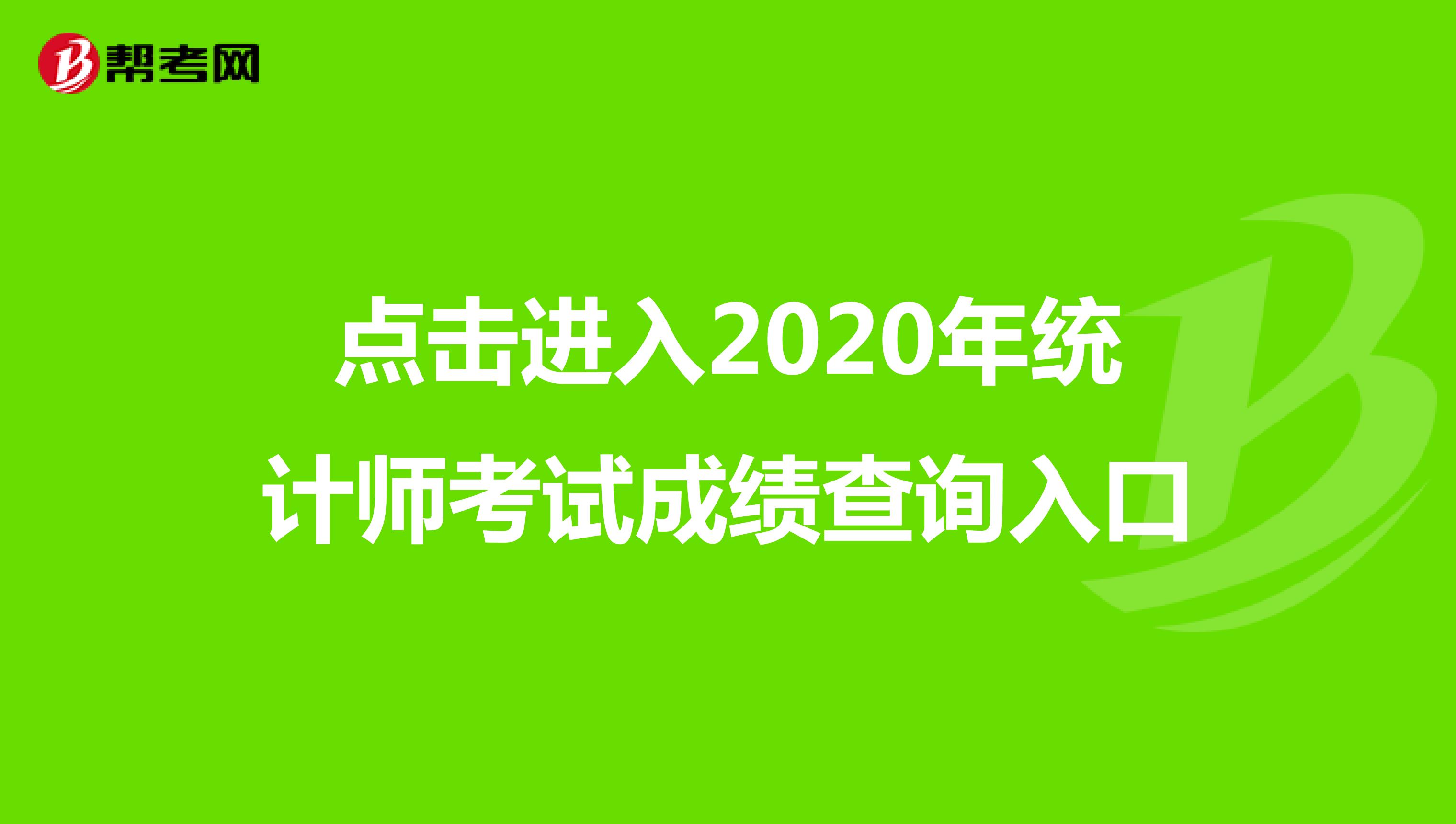 点击进入了解2020年统计师考试成绩查询方式