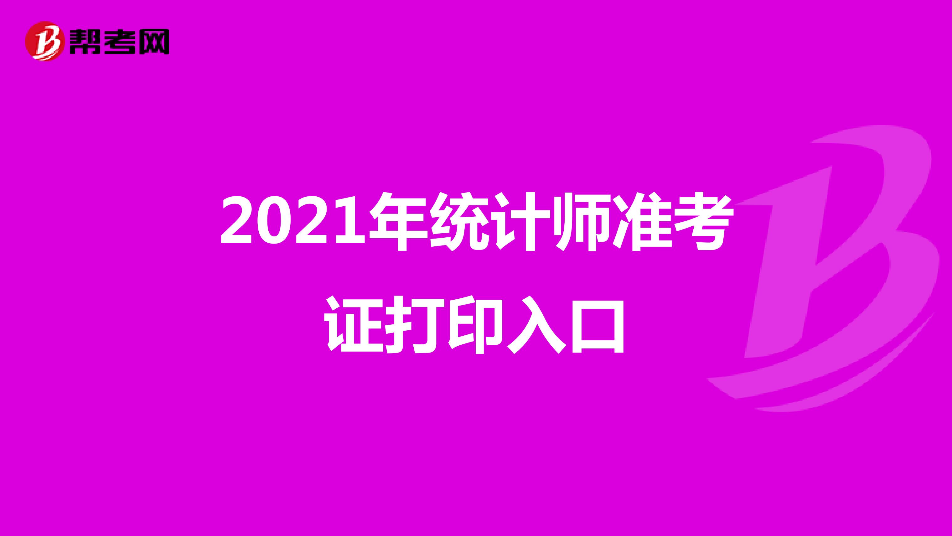 2021年统计师准考证打印入口