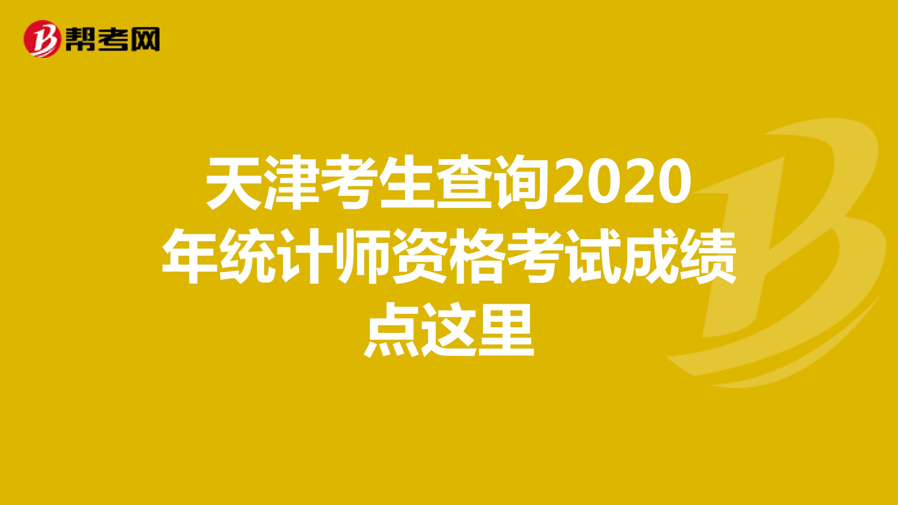 天津考生查询2020年统计师资格考试成绩点这里
