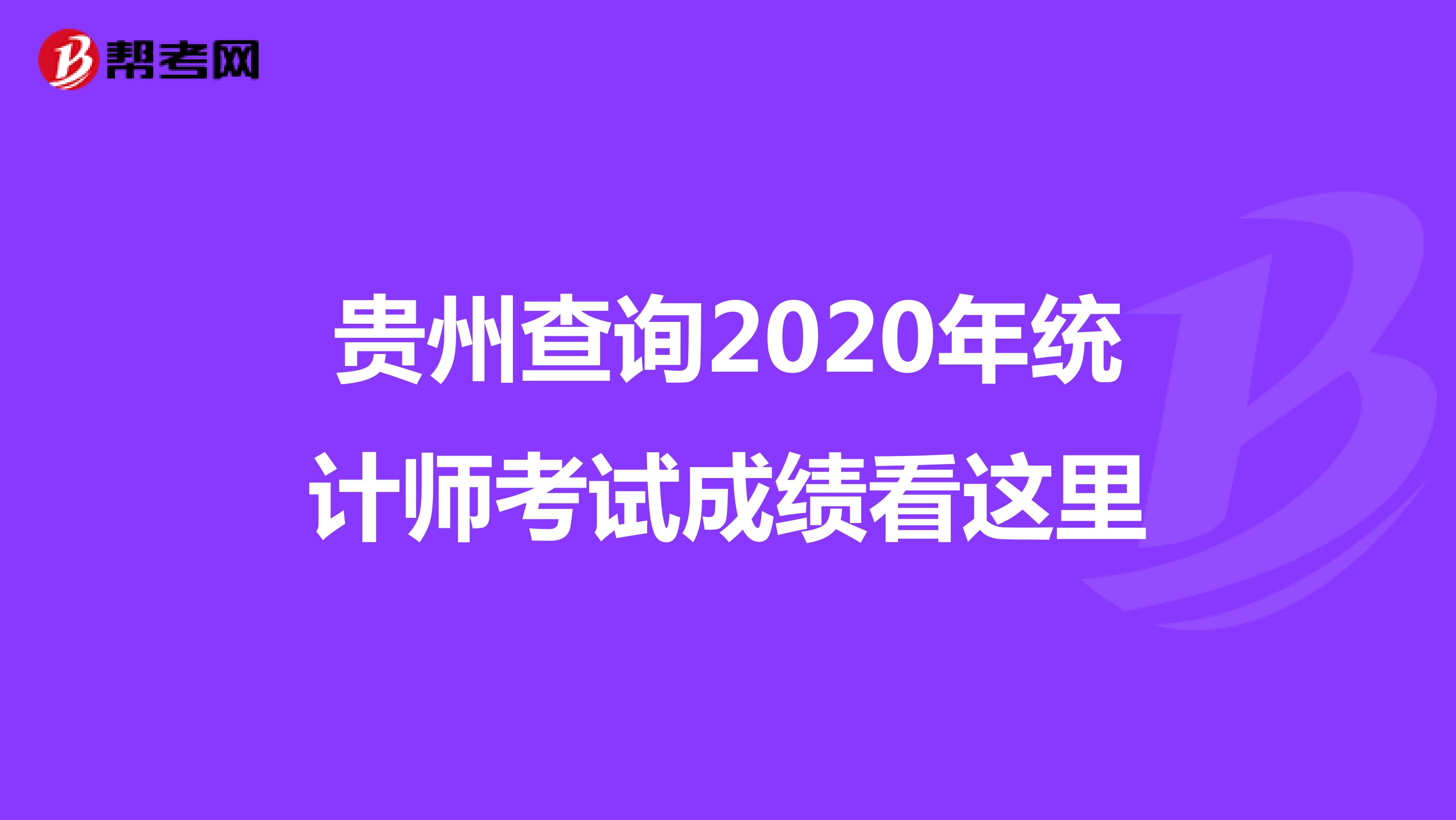 貴州查詢2020年統(tǒng)計(jì)師考試成績(jī)看這里