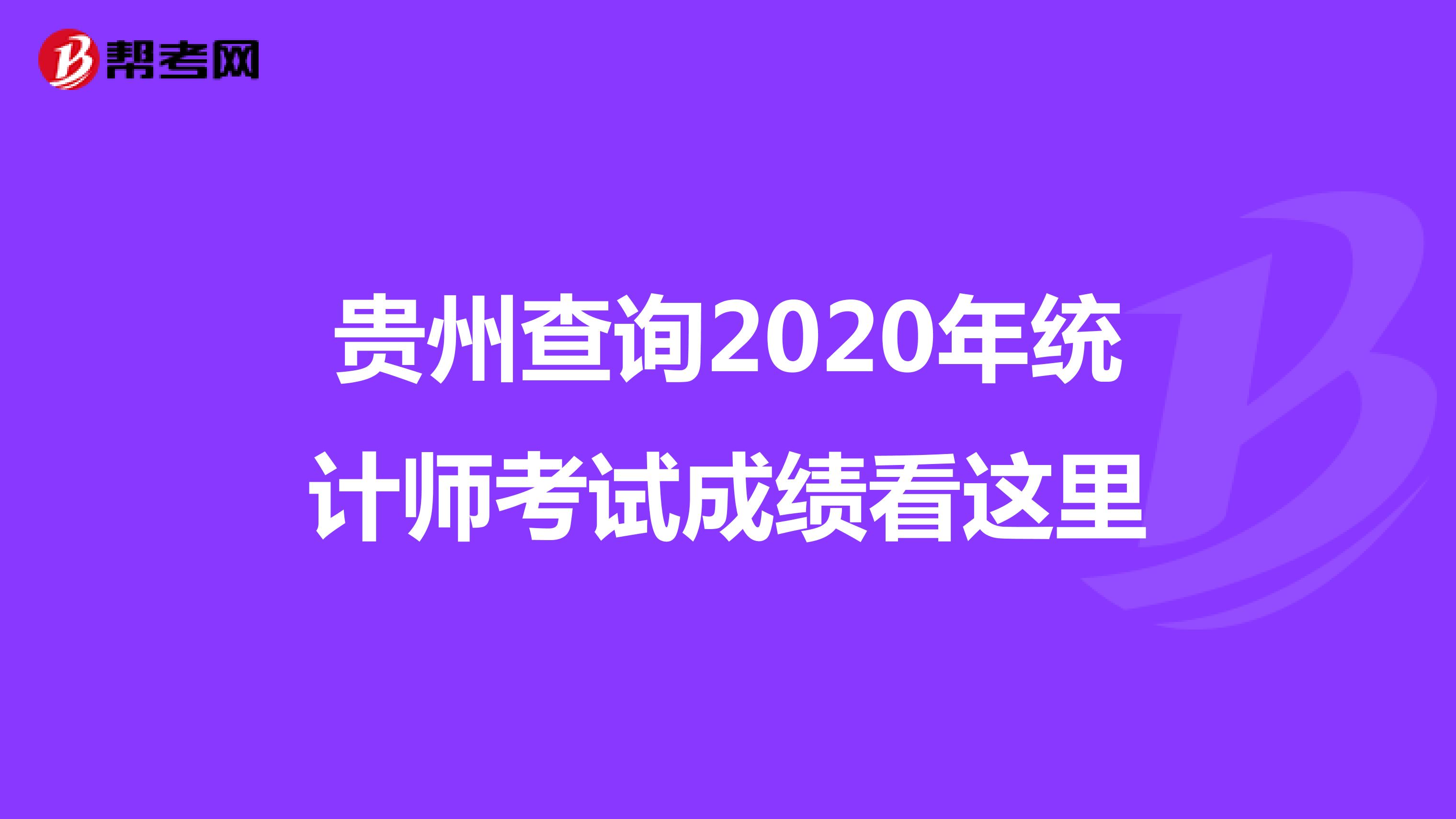 贵州查询2020年统计师考试成绩看这里