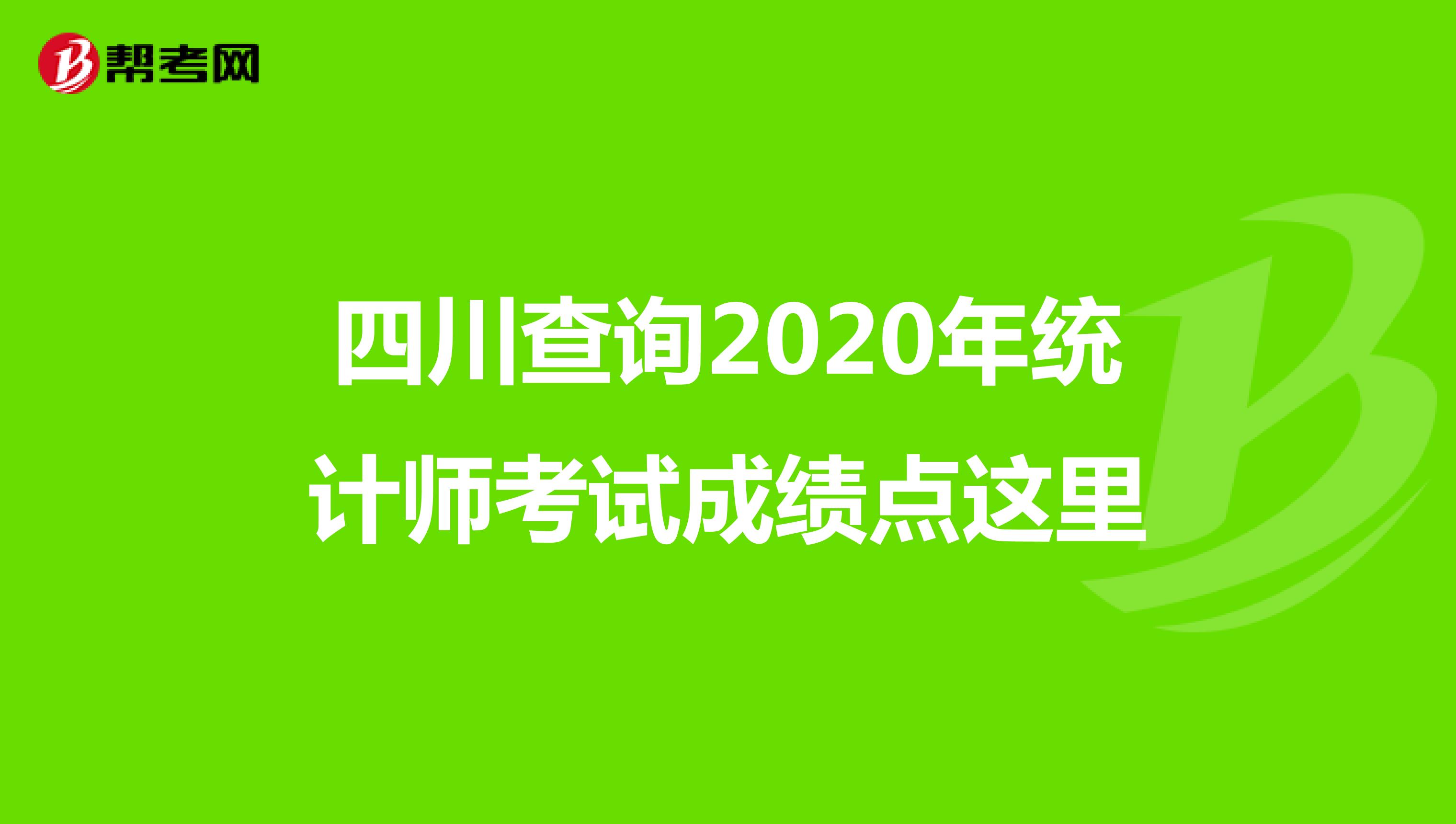 四川查询2020年统计师考试成绩点这里