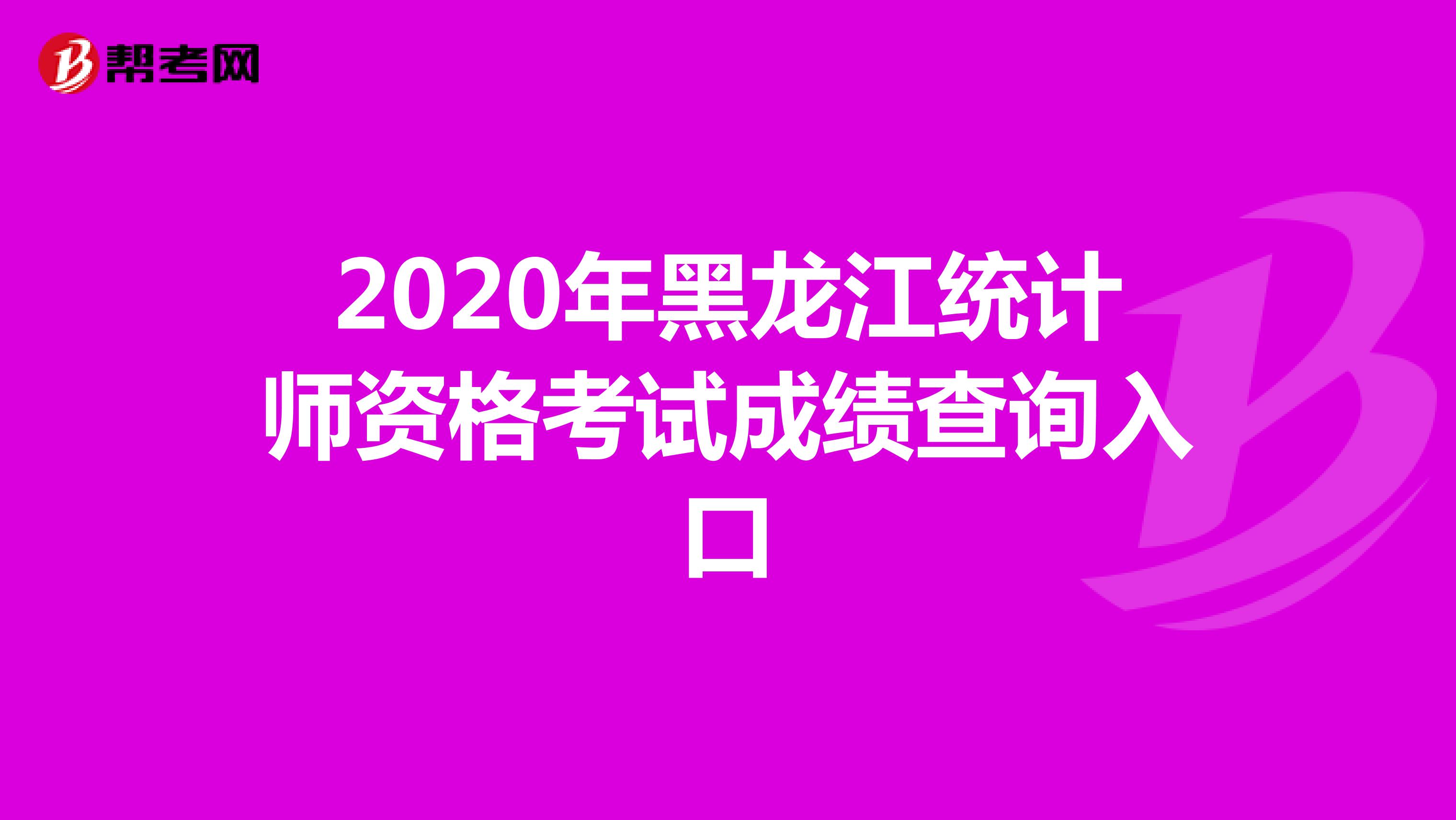 2020年黑龙江统计师资格考试成绩查询入口