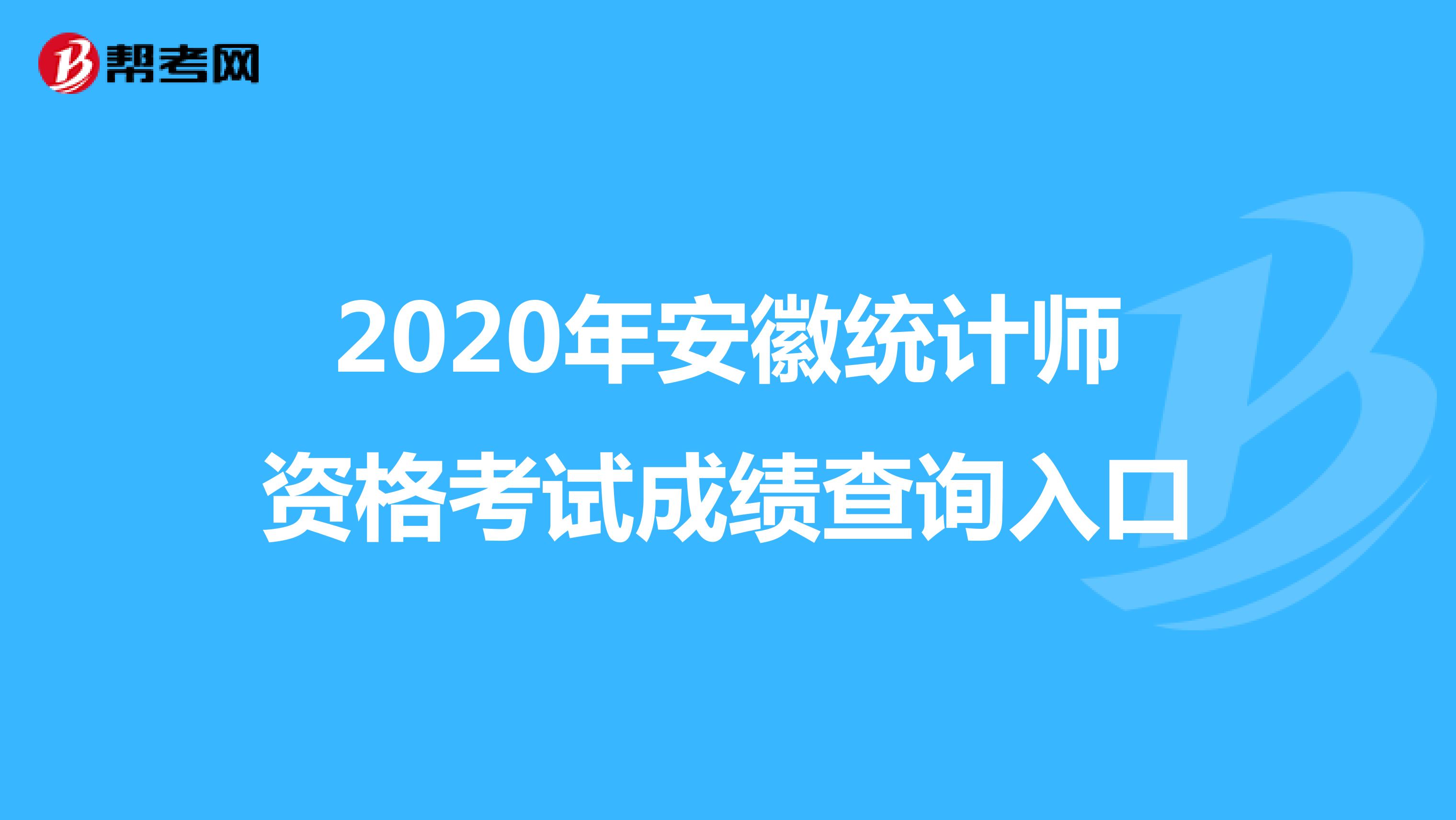 2020年安徽统计师资格考试成绩查询入口