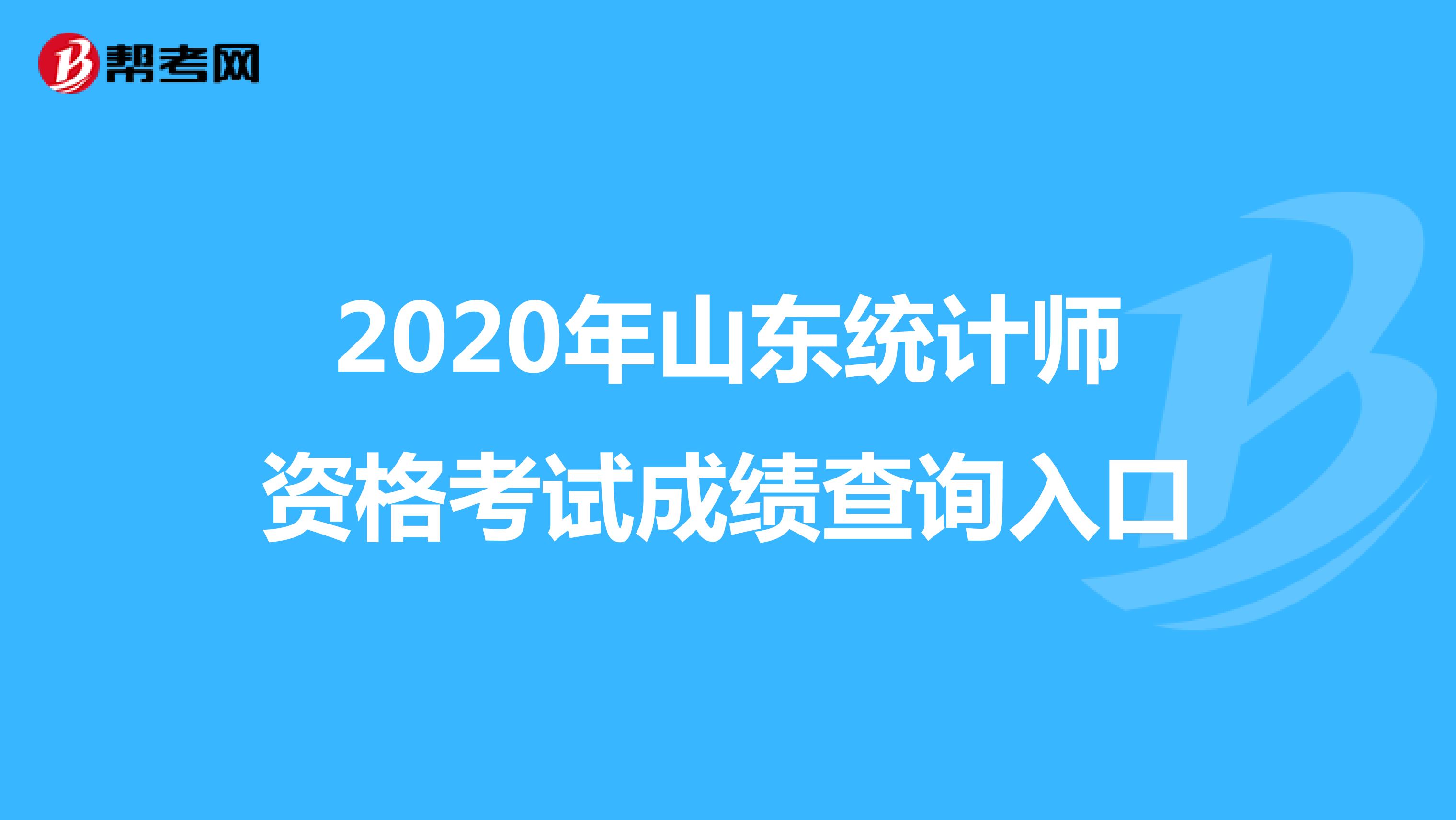 2020年山东统计师资格考试成绩查询入口