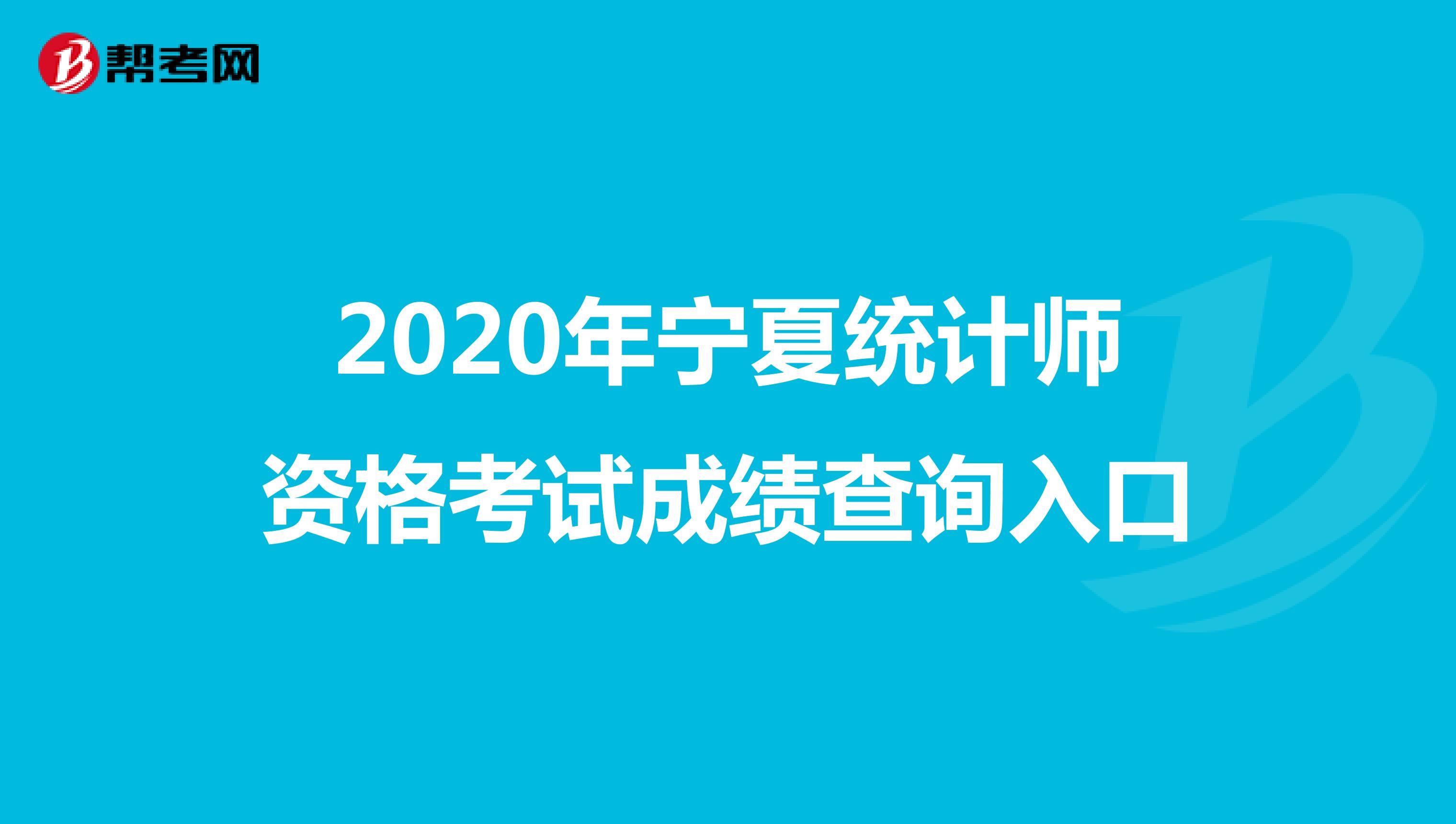 2020年宁夏统计师资格考试成绩查询入口