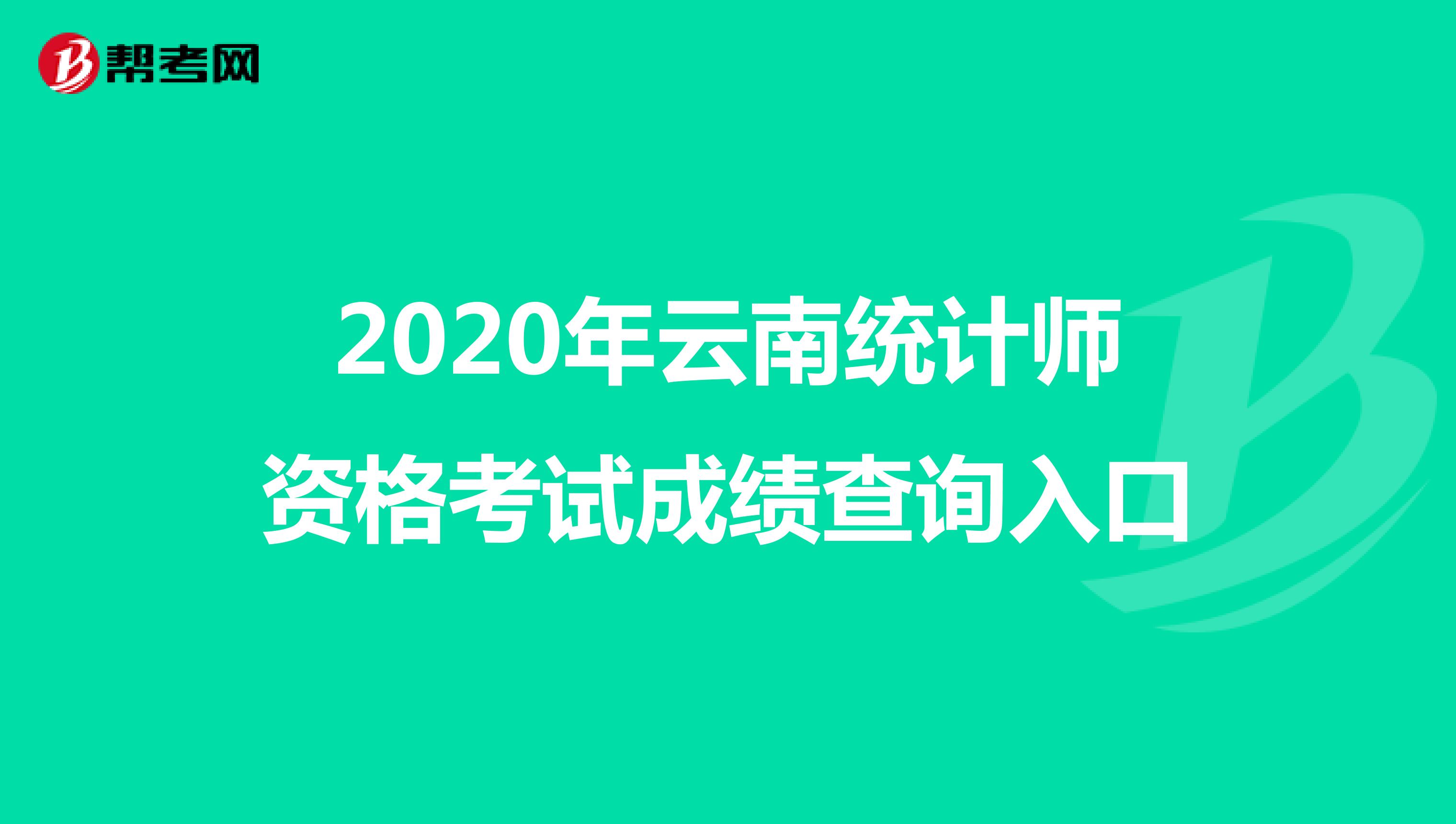 2020年云南统计师资格考试成绩查询入口