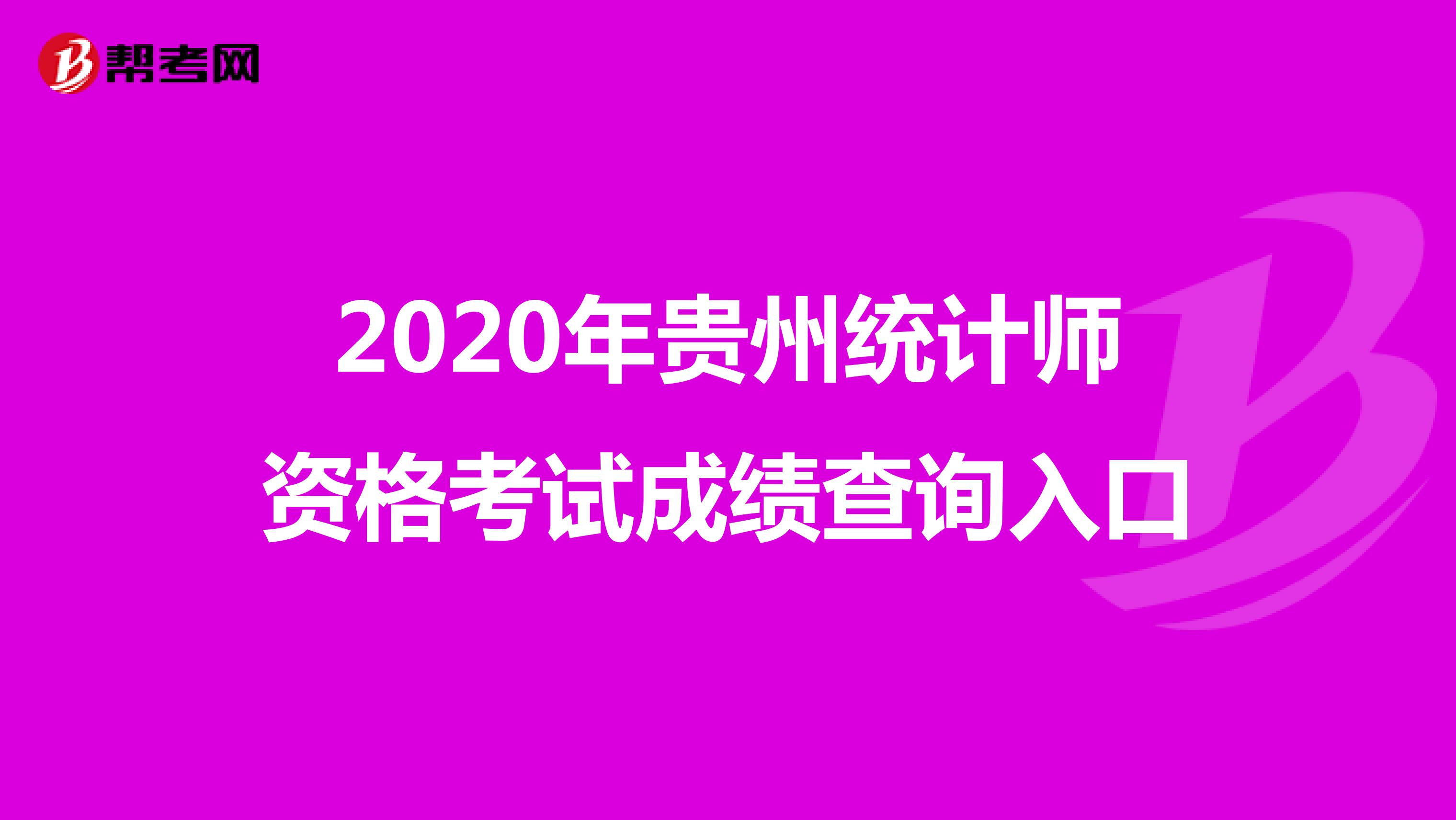 2020年貴州統(tǒng)計(jì)師資格考試成績(jī)查詢(xún)?nèi)肟? align=