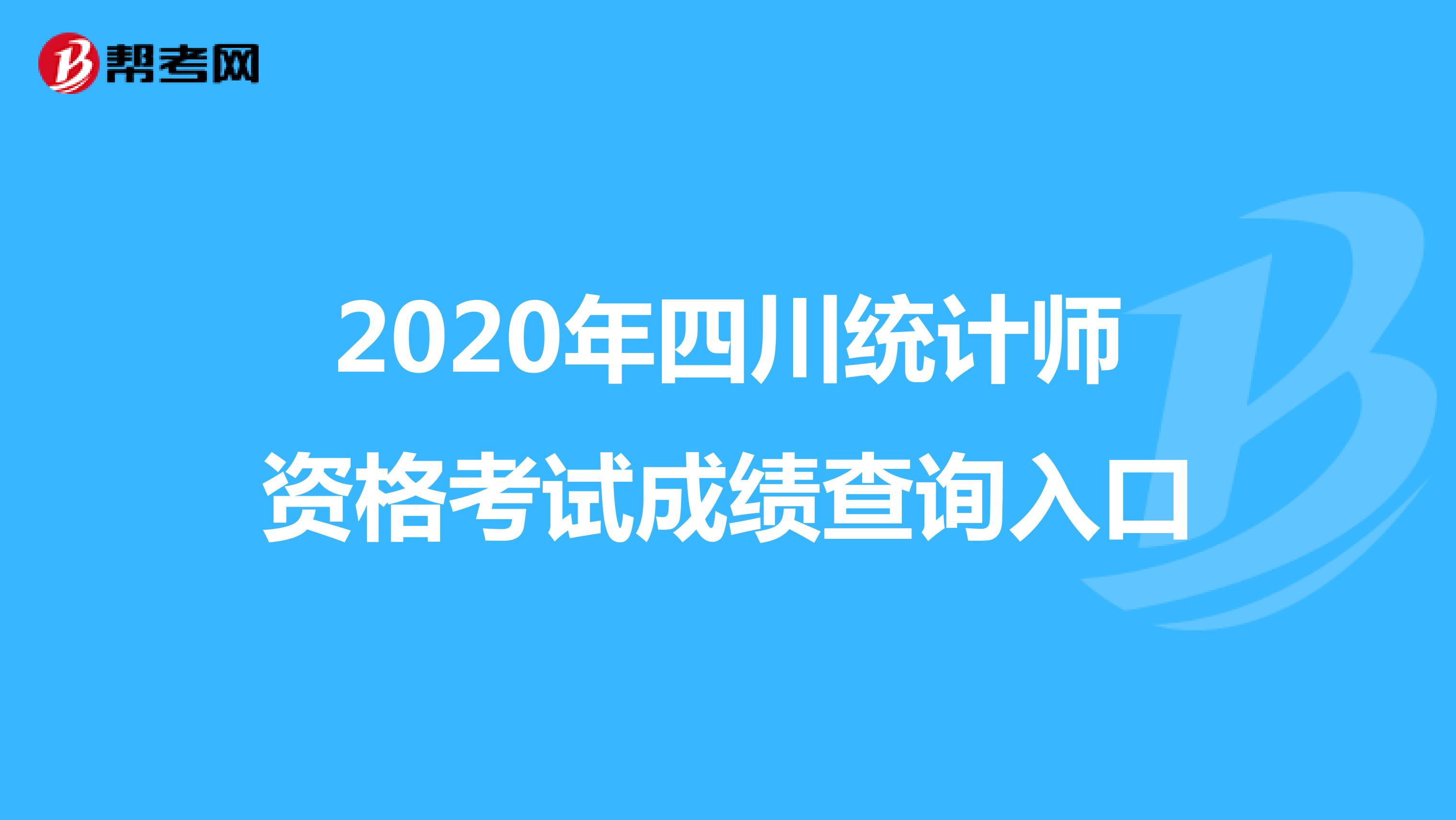 2020年四川统计师资格考试成绩查询入口