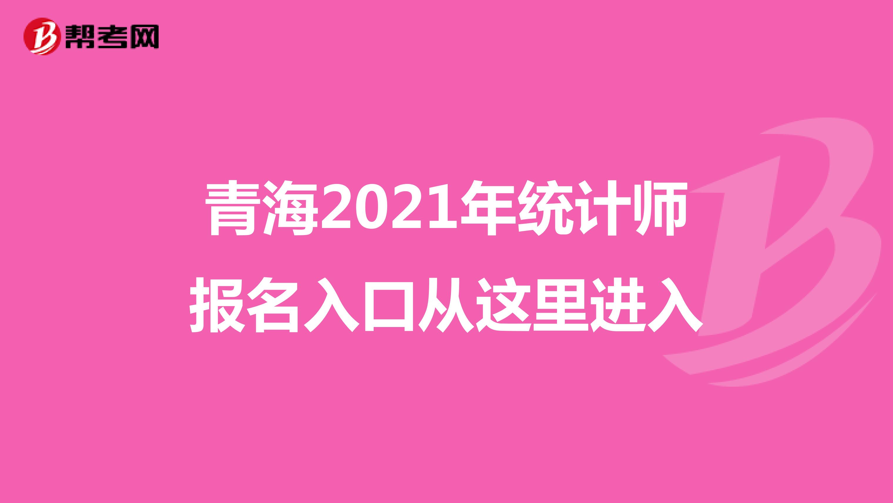 青海2021年统计师报名入口从这里进入