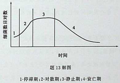 在细菌的生长曲线各阶段中,细菌活数达到最大的时期是