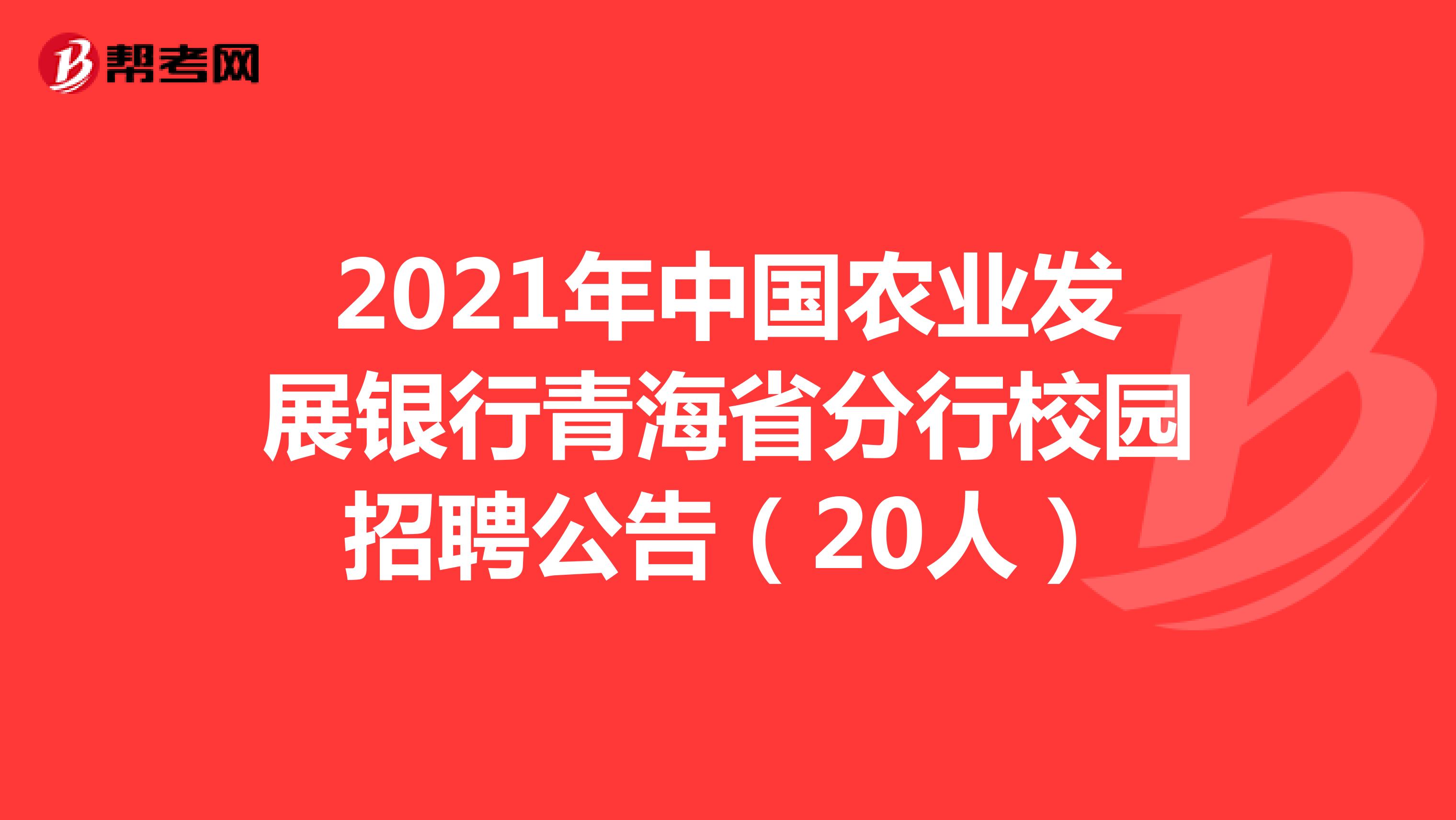 2021年中国农业发展银行青海省分行校园招聘公告（20人）