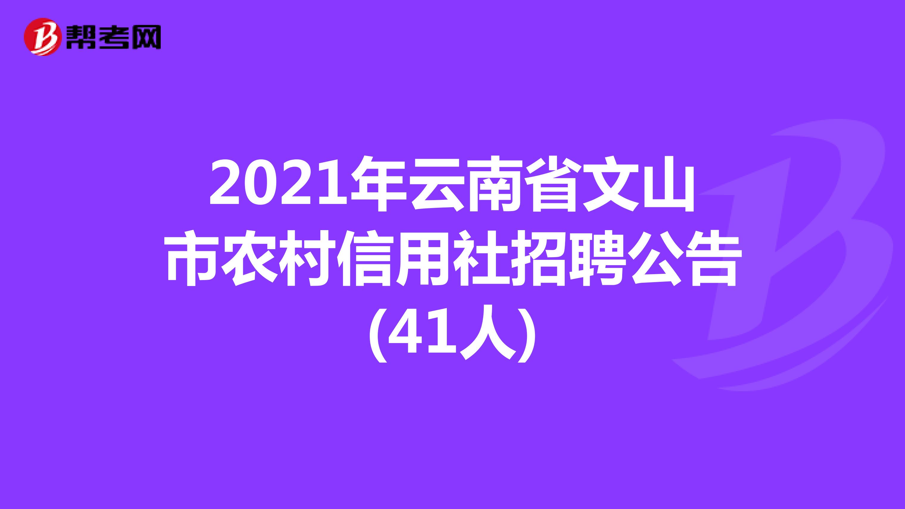 2021年云南省文山市农村信用社招聘公告(41人) 