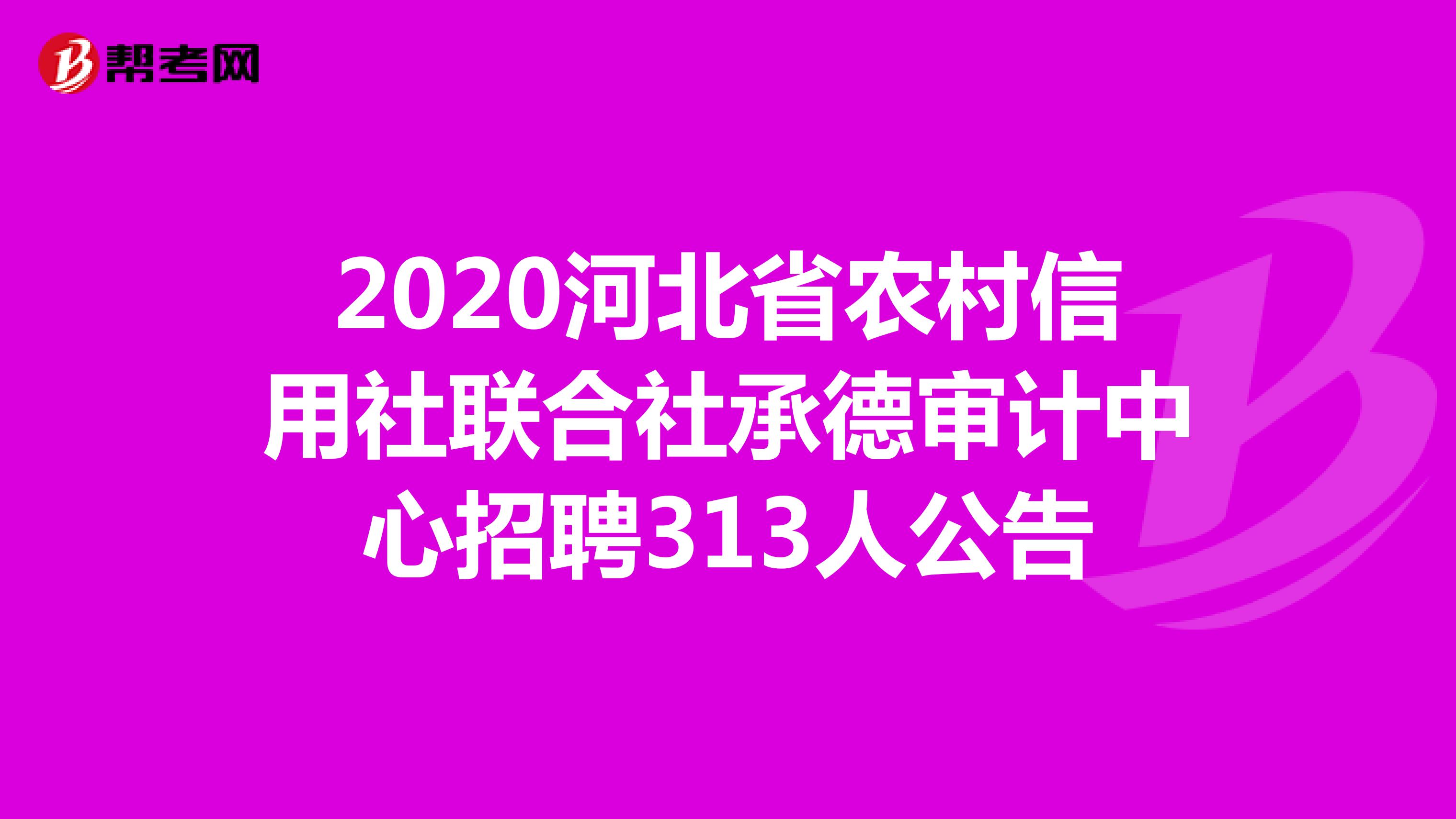2020河北省农村信用社联合社承德审计中心招聘313人公告