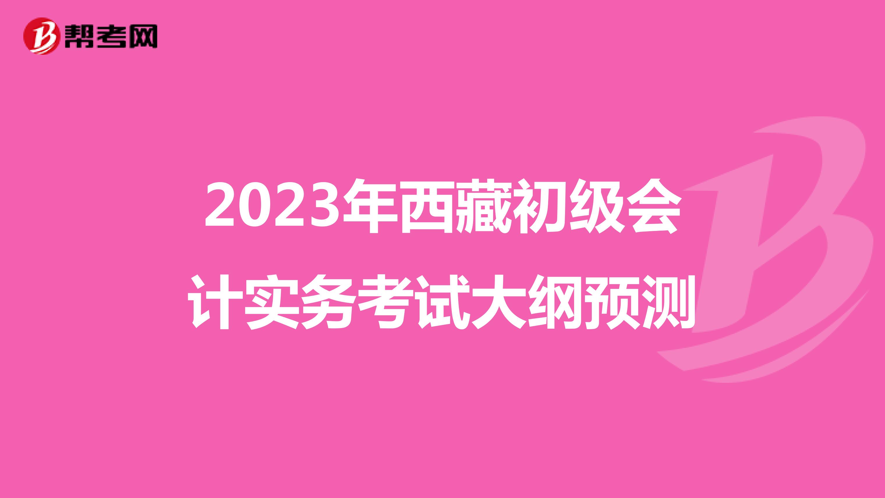2023年西藏初级会计实务考试大纲预测