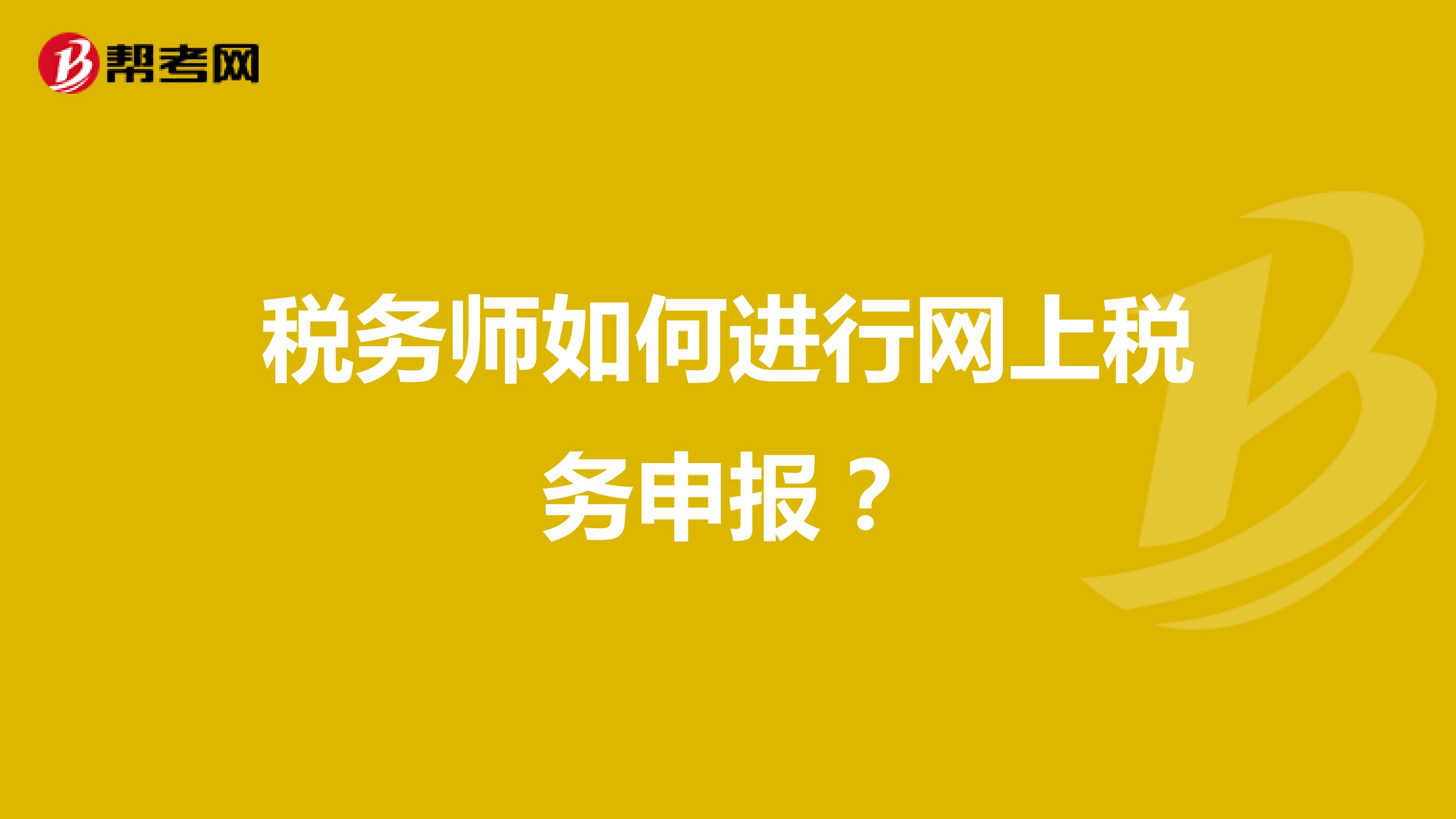 税务师如何进行网上税务申报？