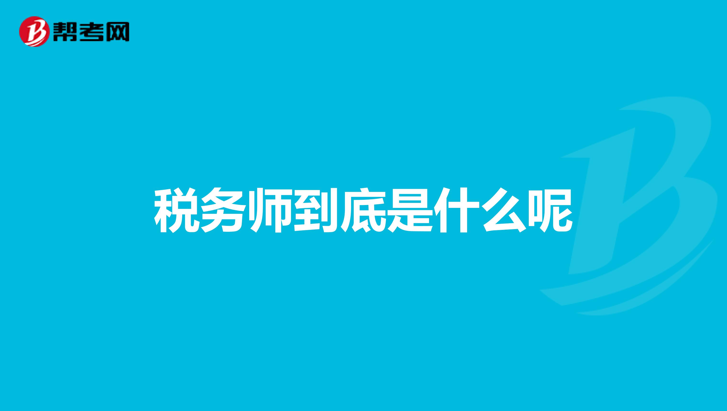 稅務(wù)師到底是什么呢