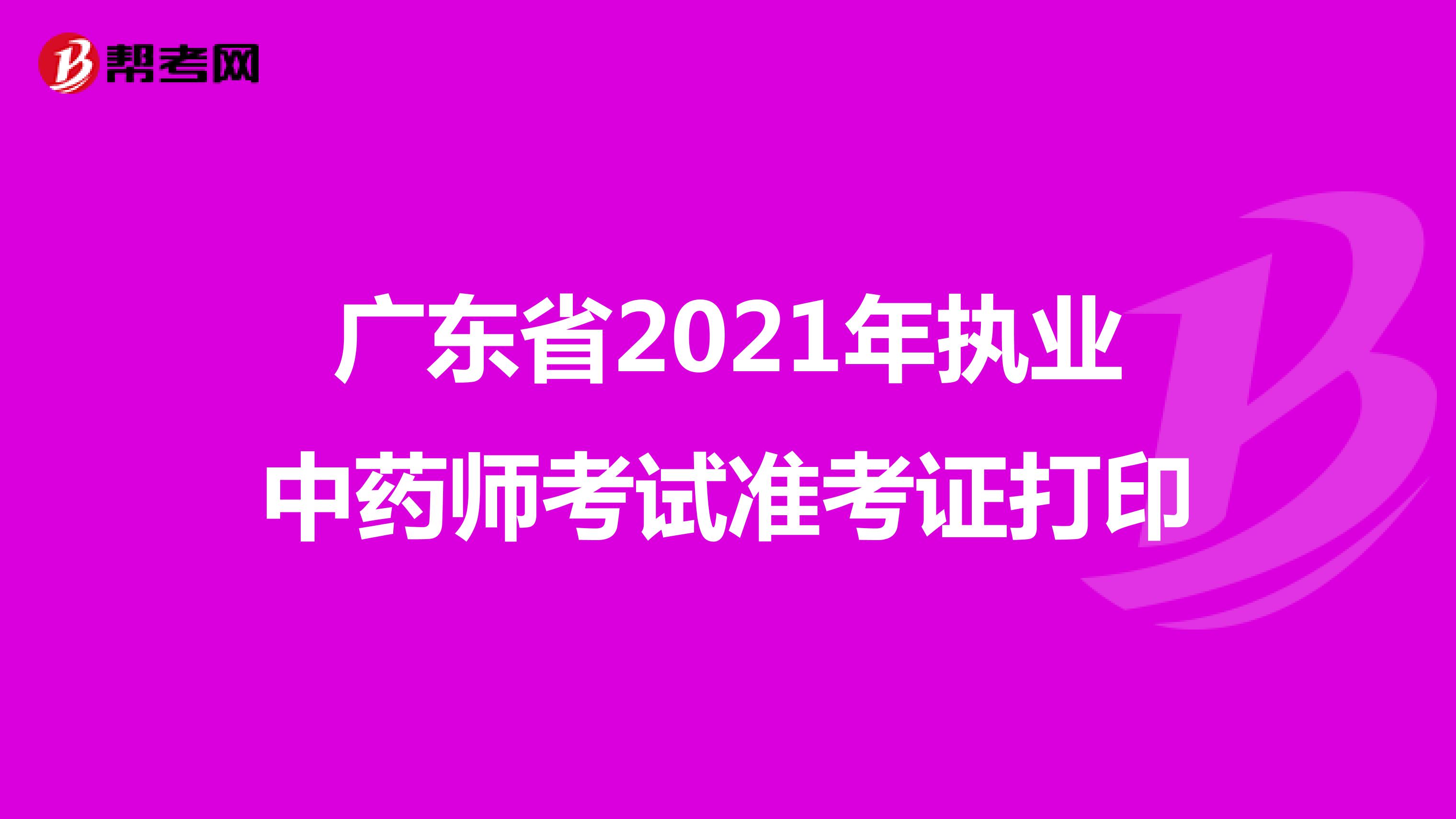 广东省2021年执业中药师考试准考证打印