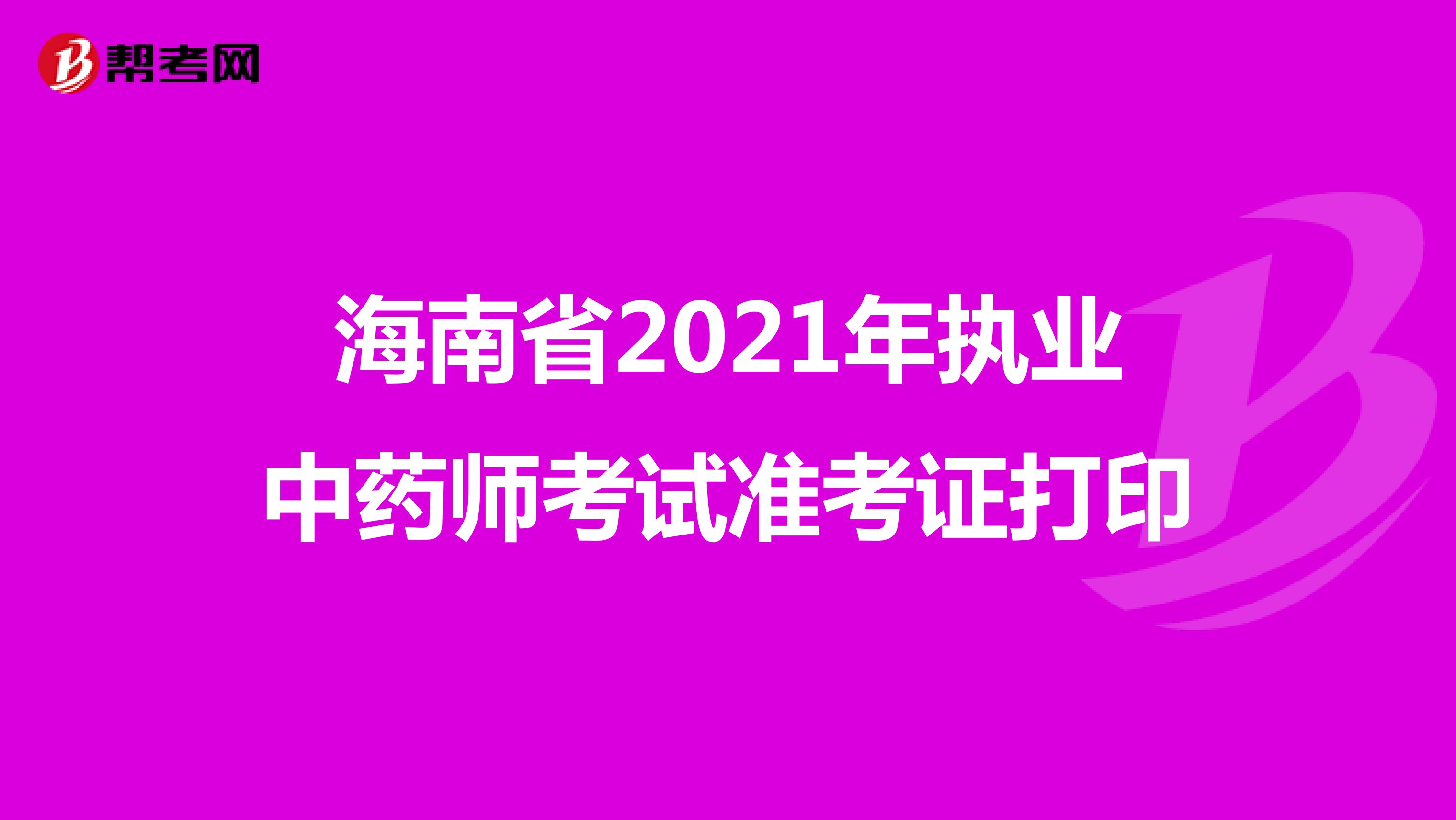 海南省2021年执业中药师考试准考证打印