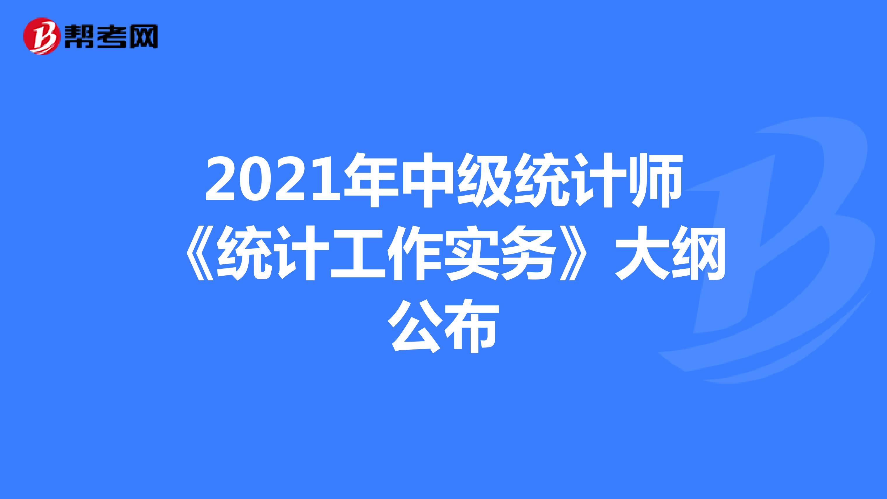 2021年中级统计师《统计工作实务》大纲公布