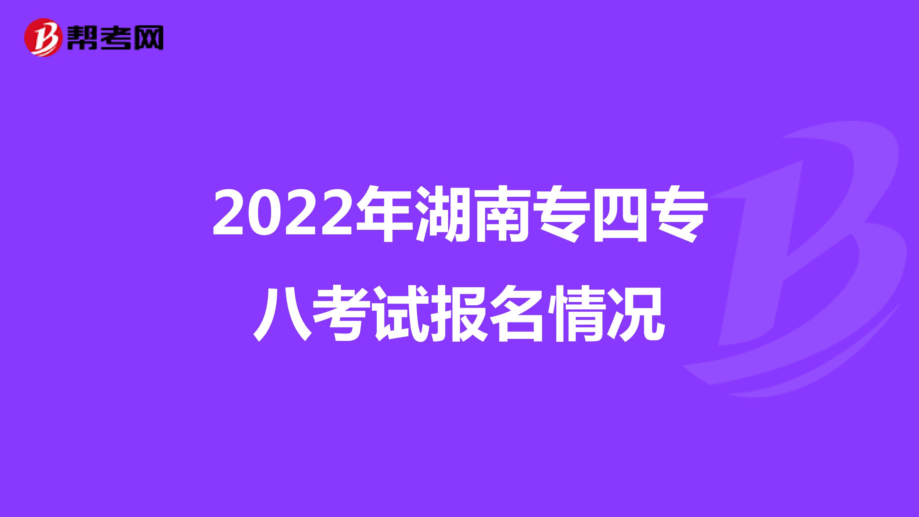 2022年湖南专四专八考试报名情况