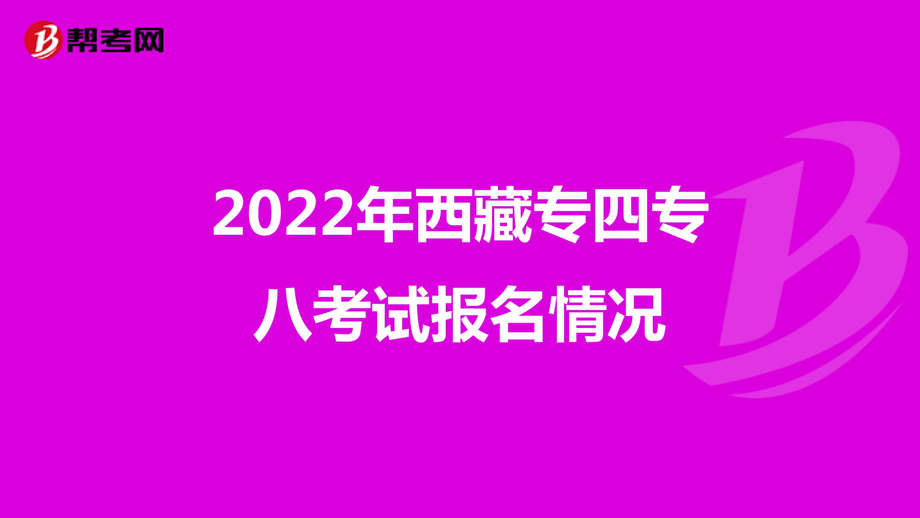 2022年西藏专四专八考试报名情况