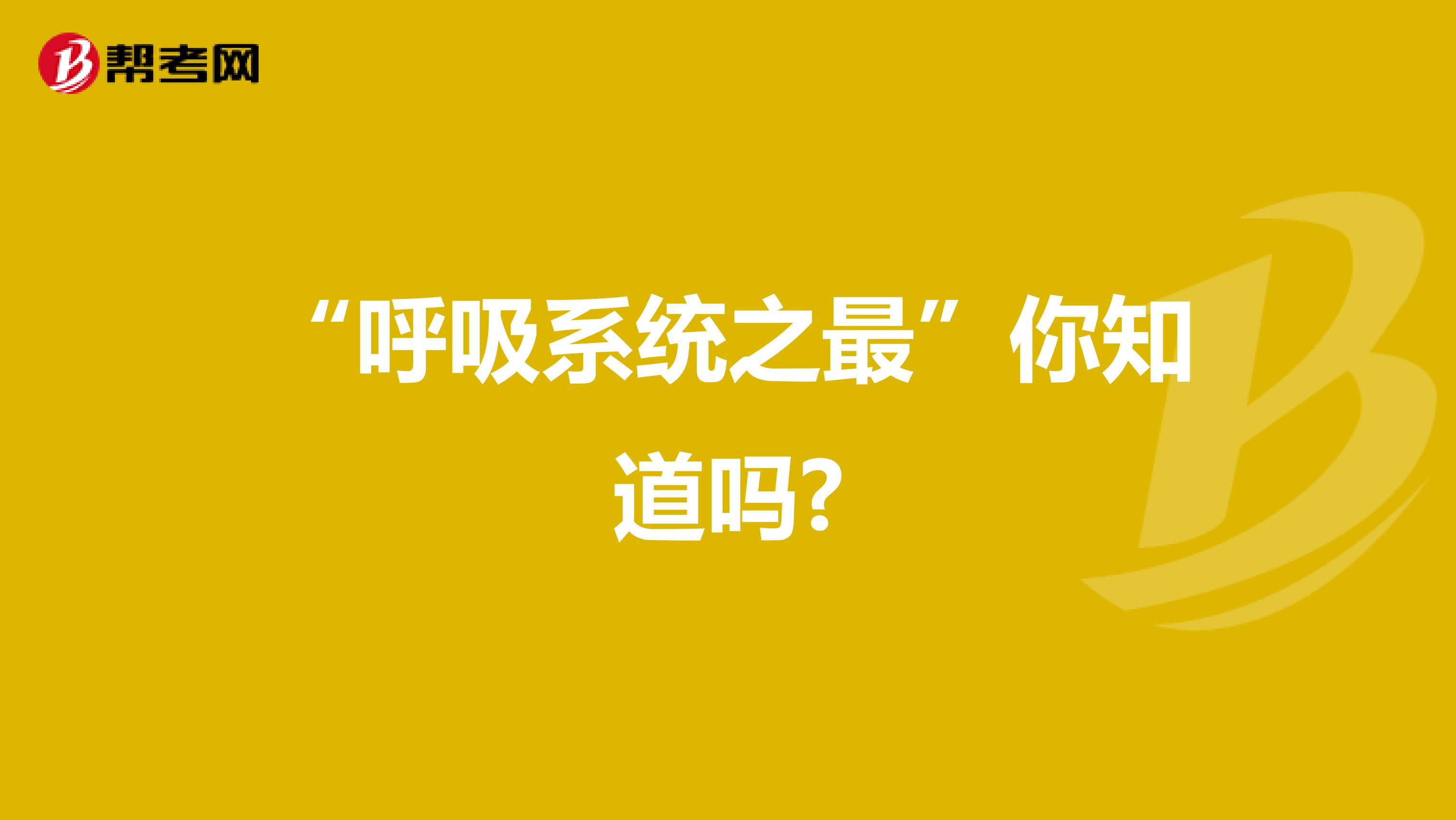 “呼吸系統之最”你知道嗎?