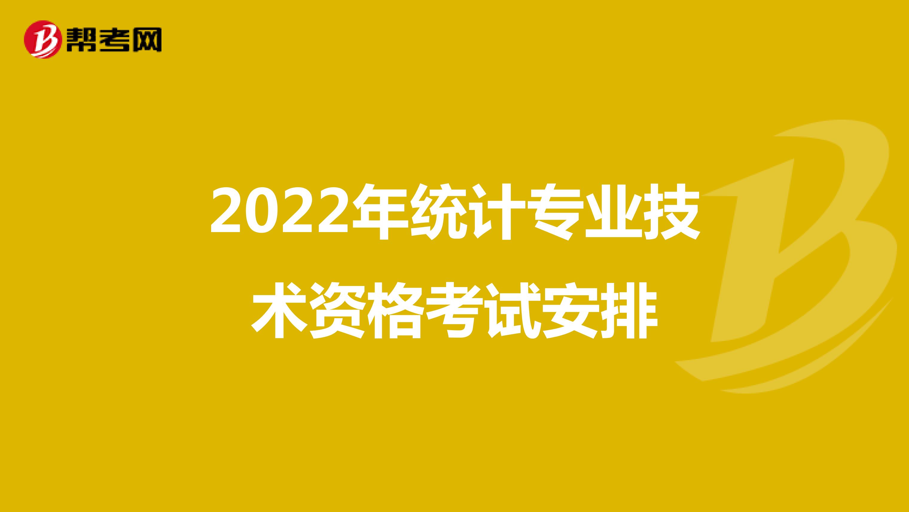 2022年统计专业技术资格考试安排